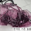 MD 모터스 | 광주썬팅재시공 아반떼 MD 브이쿨MR 시공 후기