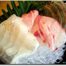 포항횟집 이미지