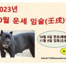 2023년 10월 운세 임술 (壬戌) 일간별 이미지