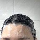 모가닉