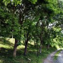 호반펜션&가든 이미지