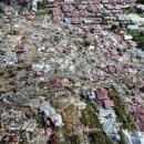 바우바우 이미지