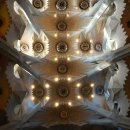 파밀리아 | 바르셀로나 신혼여행 필수코스 사그라다 파밀리아 내부관람 후기