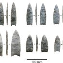 클로비스 이미지