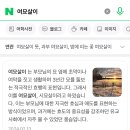 와 더쿠에 ㄹㅈㅇ 사건때 여묘살이란 글도 올라왔대 처음봄 이미지