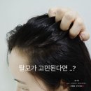 헤어닥터 | 탈모샴푸 1위 ! 닥터포헤어 폴리젠 씨크닝 두피 샴푸 후기
