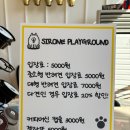 [양평 애견카페] 대형견, 중소형견 구별 운동장이 있는 &#39;시로네운동장&#39; 후기