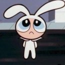 혁신애견미용 이미지