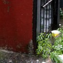 형제식품 이미지