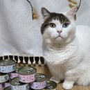 냠냠밸런스 이미지