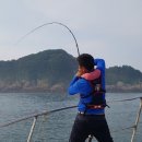 장고도6 이미지