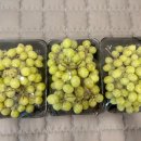 경희애플한의원 이미지