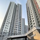 신촌숲 2 이미지