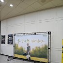 (공연) 세종문화예술회관 재개관 기념 콘서트 이미지