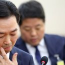 “비겁하다” 질타 쏟아진 김지용 중수청장 청문회…여당 청문보고서 채택 무게 이미지