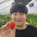 중일농장 네이버블로그