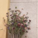 우림교회 이미지