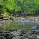 주식회사 거북축산(영천지점) | [전라남도 장성군] 남창계곡