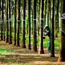 수반농장 | 베트남 고무 산업 전망: 가격 반등했으나 경기 순환적 위험은 지속 - 20260303