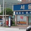 내촌약국 Daum카페