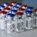 보란파마 이미지