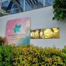 매직카24시동진주점 | 푸꾸옥 여행기 4(프리미어 레지던스, 선셋타운 스타벅스, 부이페스트 야시장, 센스파, 비엣와이 마트)