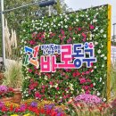 대전 10월 동구동락 축제 푸드트럭 프리마켓 볼거리 다녀온 후기 (Feat.꿈돌이 행운부적 이벤트)