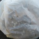 오늘 모텔 이미지