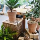 아로마와 색채심리 이미지