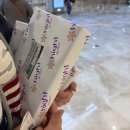 강원랜드 | 강원랜드 카지노 후기 예약 꿀팁 맛집 하이원호텔 내 인생 역전할지 여전할지 ,,