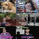 비밀