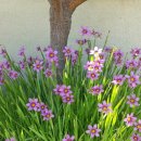 소나무 철물점 이미지