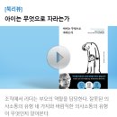IDC ASIA 2024년 8월 뉴스레터