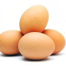 대전한국병원 이미지