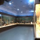 덕소자연사박물관 이미지