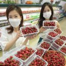 체리마트 이미지