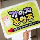 강이네펫샵 이미지