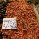 칠레 산띠아고의 생선 종류와 가격 이미지