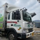 삼호익스프레스 | 대전포장이사 날, 코끼리처럼 든든했던 삼호익스프레스 후기