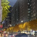 신촌역 6번 출구 공원 안쪽 | 신촌 페스츄리 &amp; 에그타르트 맛집 / 신촌역 베이커리 카페 / 온앤퍼프페스츄리