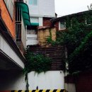 김지수산부인과의원 | 한양 순성기-그 많던 성돌은 어디로 갔을까?