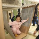 서리풀노리학교 이미지