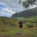 JK 목장 | 하와이여행 필수투어 쿠알로아랜치 utv 예약 후기(꼭해야함!)