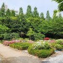 배수지 공원주변 이미지