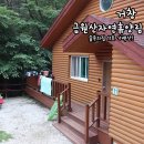 숲속의 집 이미지