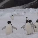 천호헬스 이미지