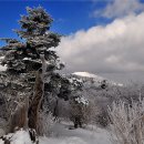 덕유산(대전) 이미지