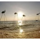 서쪽노을 이미지