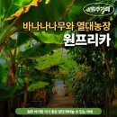 손톱에바나나 | 원프리카 :: 아기랑 원주 카페 내돈내산 후기 운동장에서 한참 뛰어놀았어요!