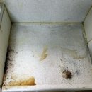 동명크린 | 신혼집꾸미기 도배장판 후 동명크린 입주청소 후기